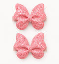 Clips Icon